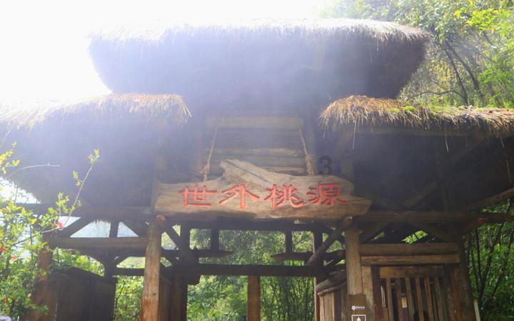 森林之神萨梯
