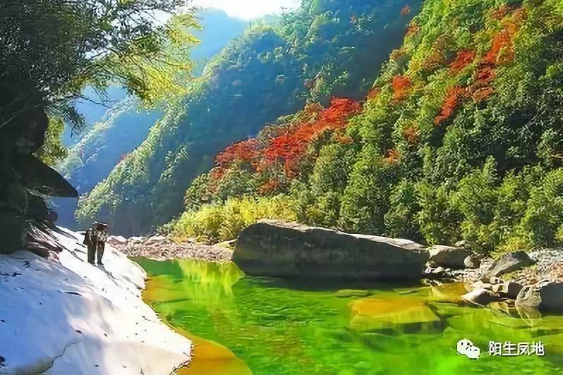 投篮得高分
